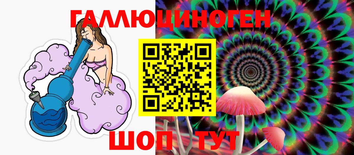 Галлюциногенные грибы Psilocybe Санкт-Петербург